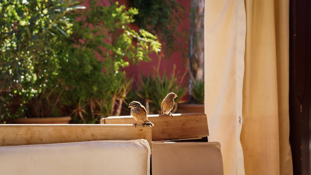 Riad Honey Marrakesch Exterior foto